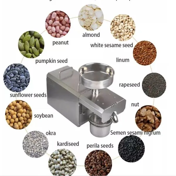 Stainless Steel Oil Press Machine
