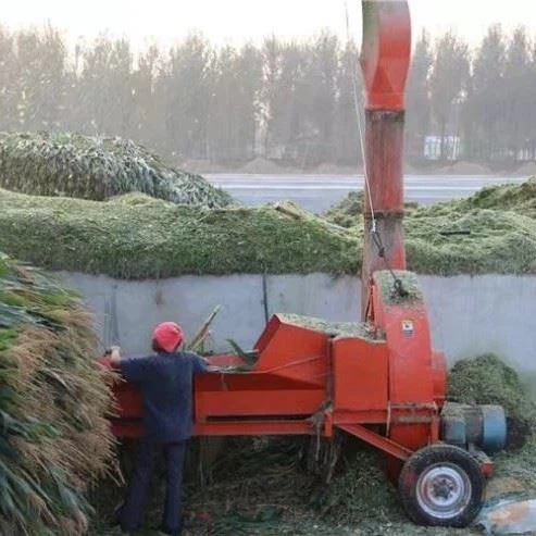 Сельскохозяйственная машина для измельчения травы