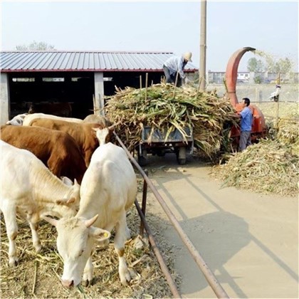 Измельчитель кукурузной соломы