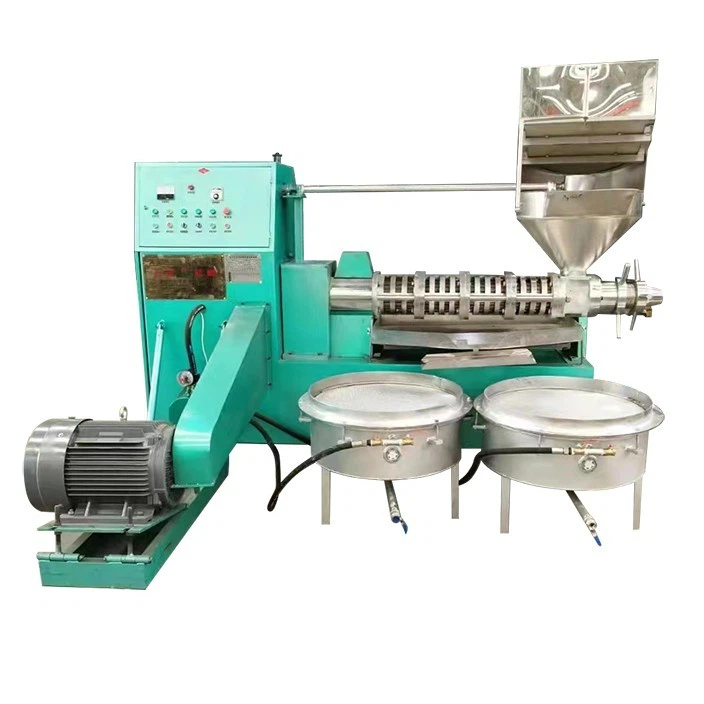Professional-Grade Oil Expeller Machine
