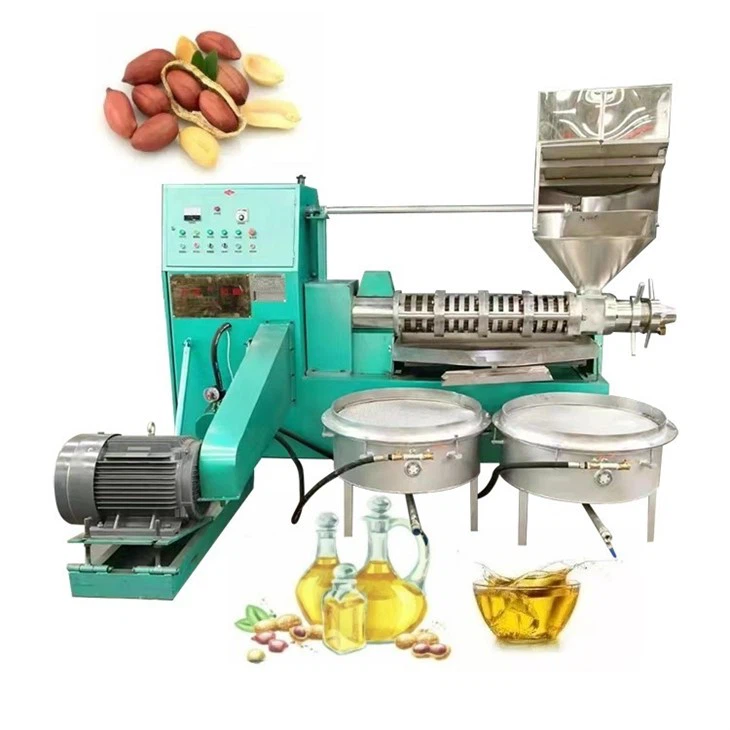Professional-Grade Oil Expeller Machine